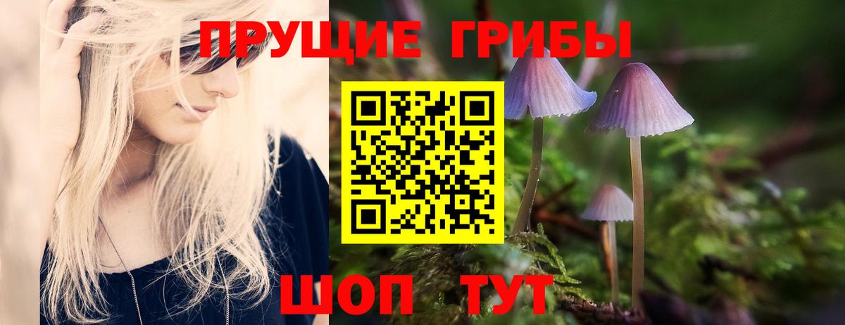 Псилоцибиновые грибы прущие грибы  Вход с VPN  Псилоцибиновые грибы Psilocybine cubensis  Братск 